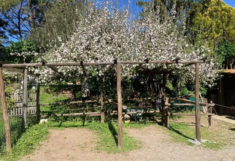 هتل Podere Delle Rose