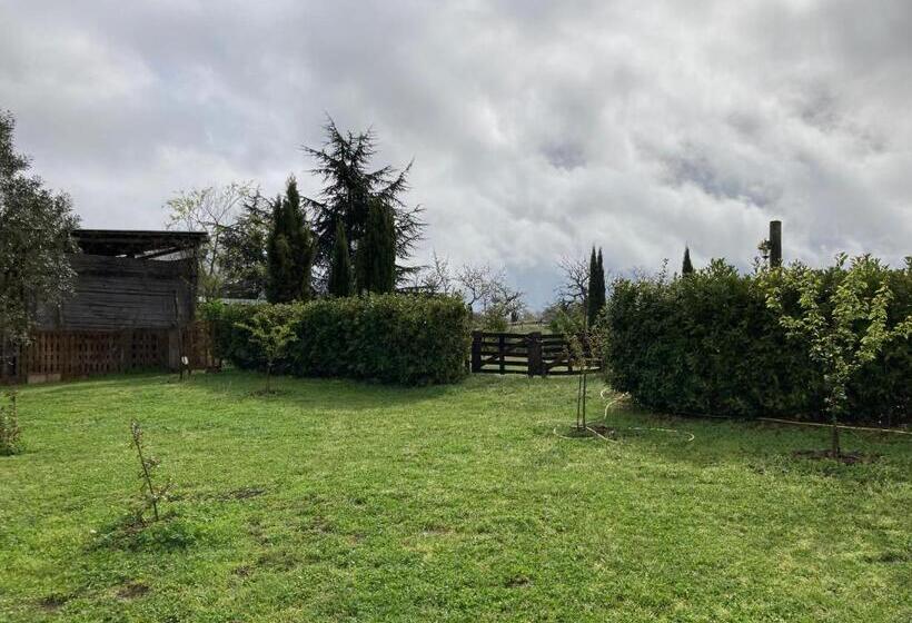 ホテル Podere Delle Rose