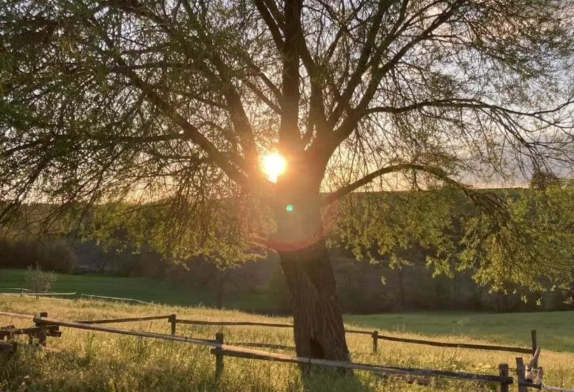 هتل Podere Delle Rose