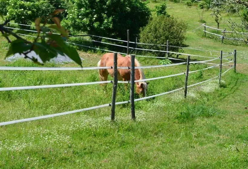 هتل Podere Delle Rose