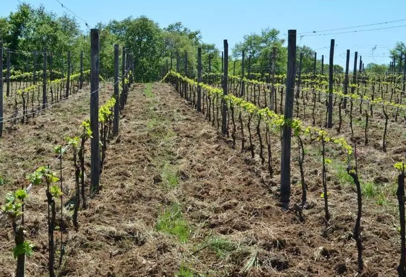 هتل Podere Delle Rose