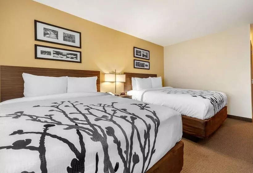 בית מלון כפרי Sleep Inn & Suites Devils Lake