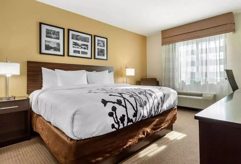 בית מלון כפרי Sleep Inn & Suites Devils Lake