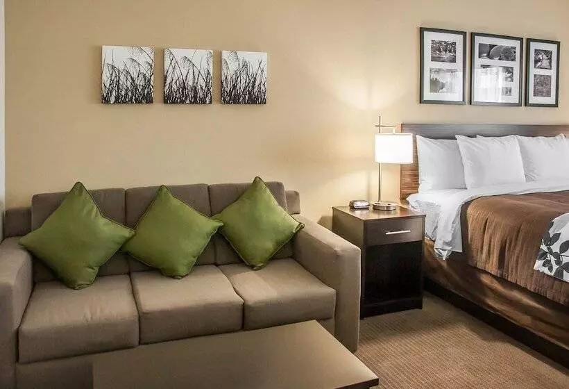 בית מלון כפרי Sleep Inn & Suites Devils Lake