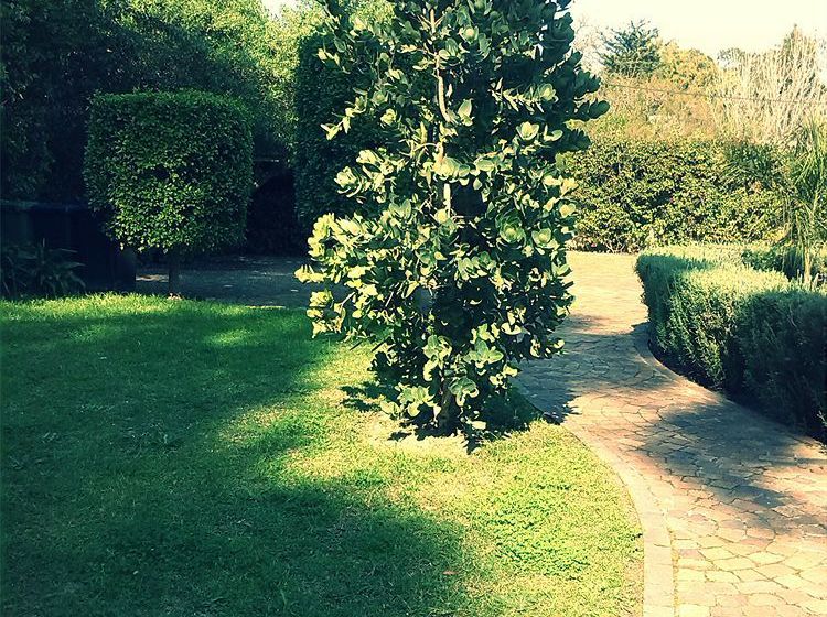 Somerset Villa Guesthouse