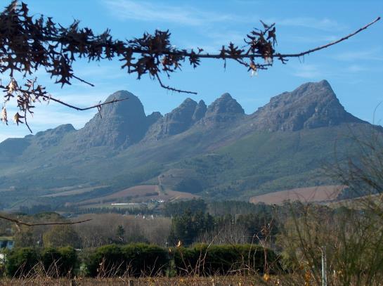 Somerset Villa Guesthouse