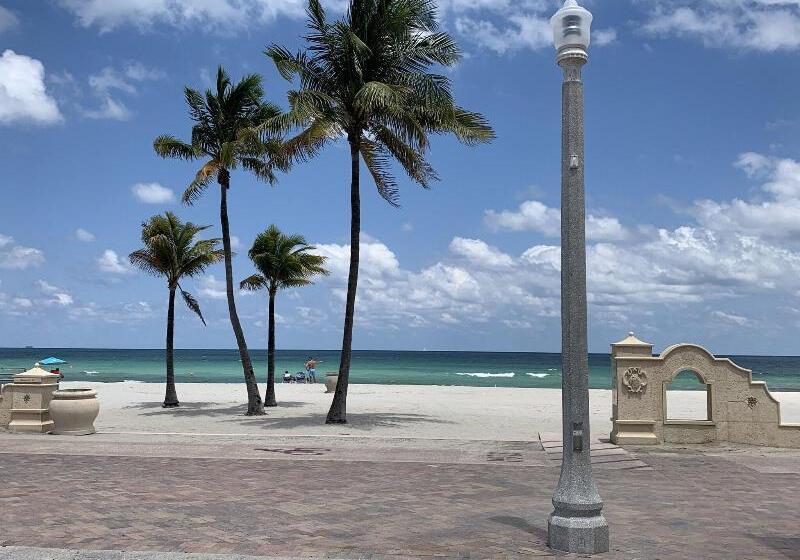 فندق The Seagull