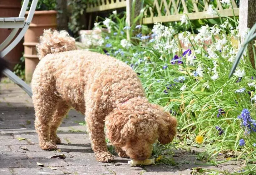 15 Victoria Street, Southwold