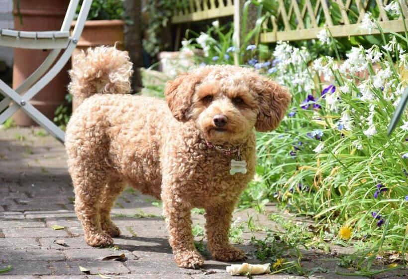 15 Victoria Street, Southwold