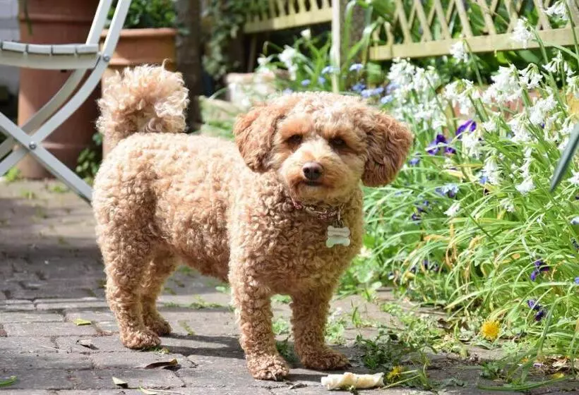 15 Victoria Street, Southwold