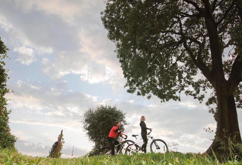 مبيت وإفطار Casa Bortolin