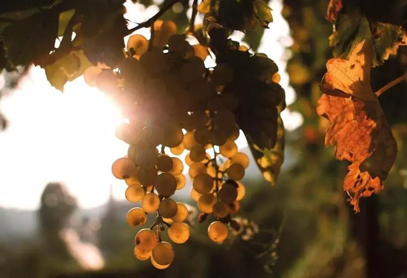 ベッドアンドブレックファースト Casa Bortolin