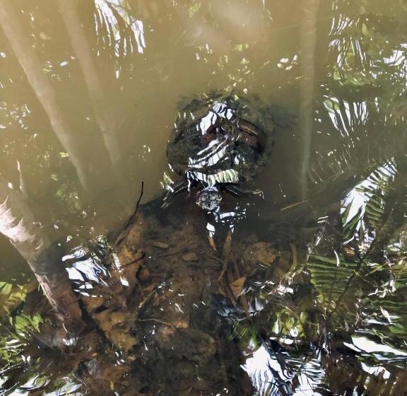 ホテル Summer Time Hiriketiya