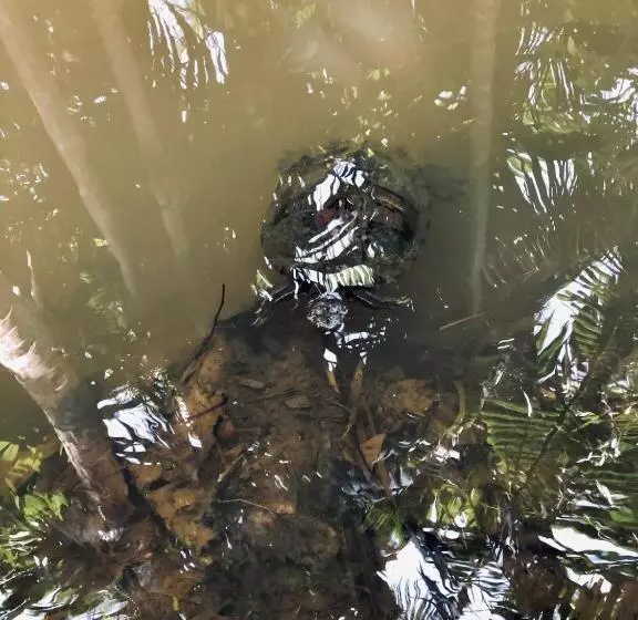 هتل Summer Time Hiriketiya