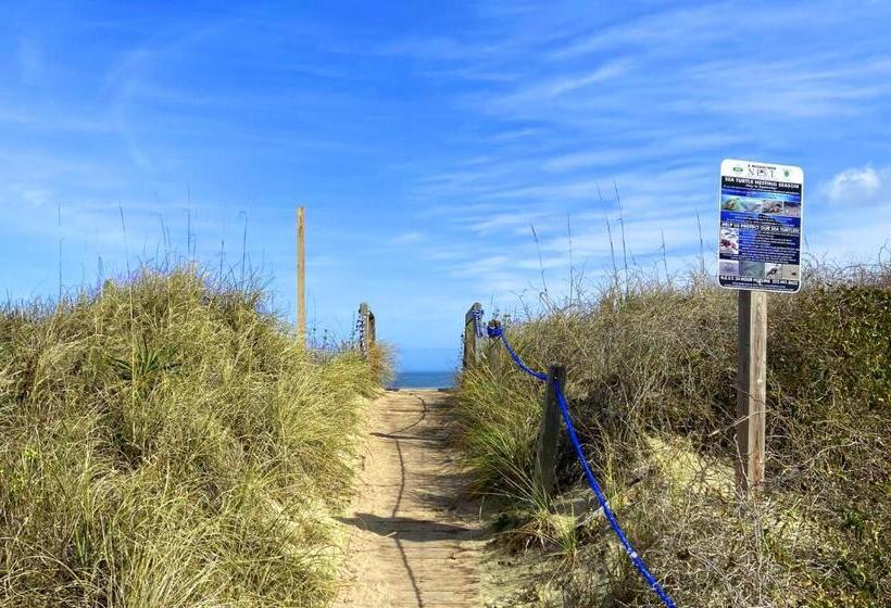 4119 The Dolphin Boat Across Street From Beach