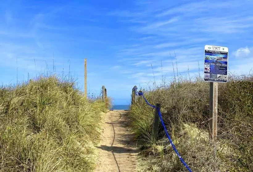 4119 The Dolphin Boat Across Street From Beach