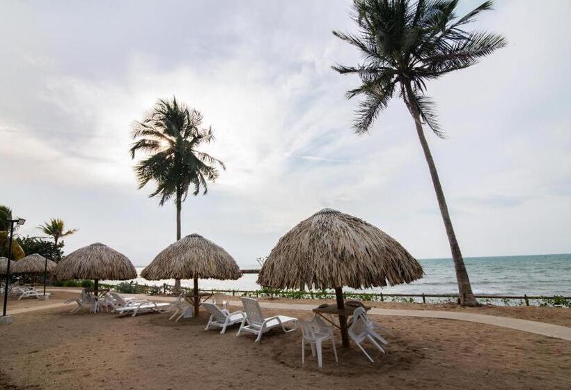 Magico Apartamento Frente Al Mar 3 Habitaciones Paz282