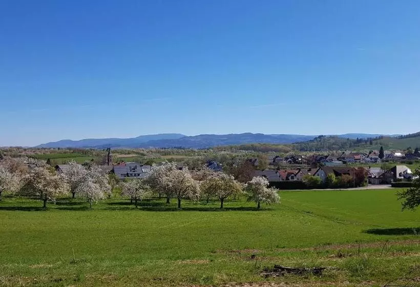 Sauers Schwarzwaldglück