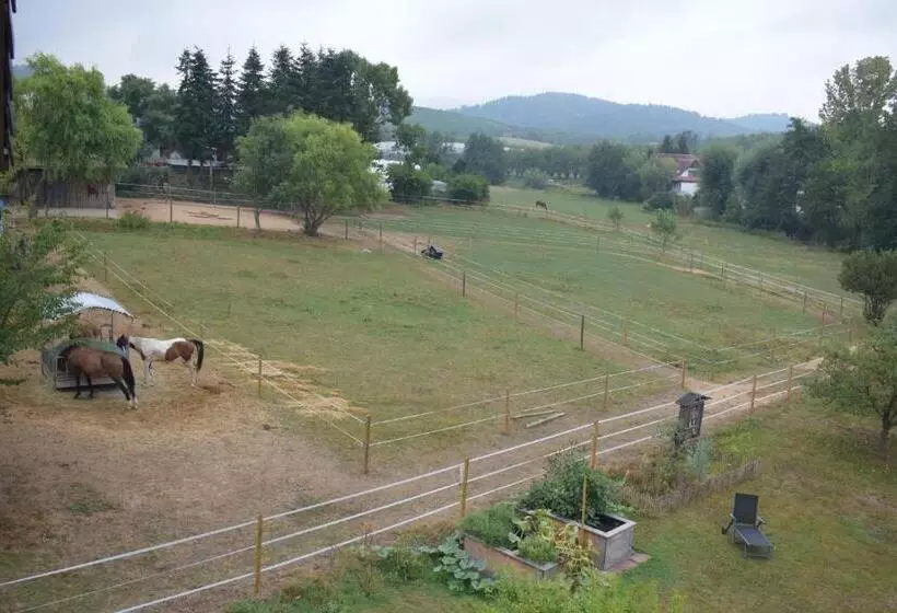 Sauers Schwarzwaldglück