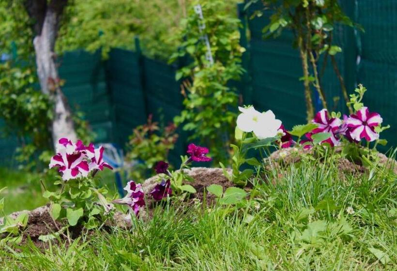Vista Sarajevo Old Town