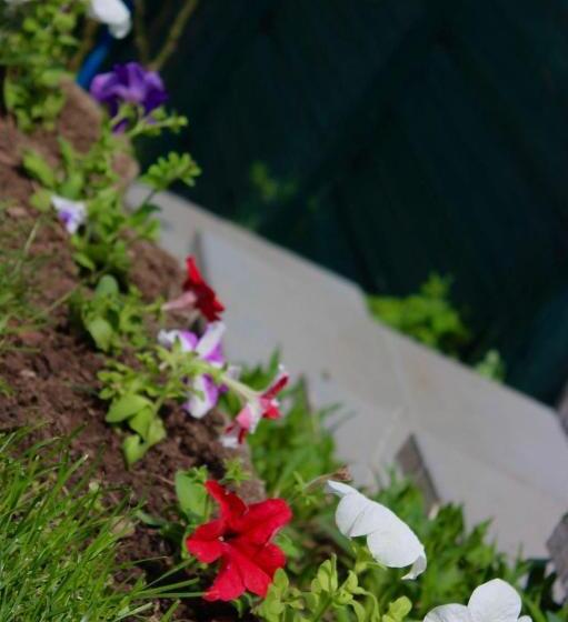 Vista Sarajevo Old Town