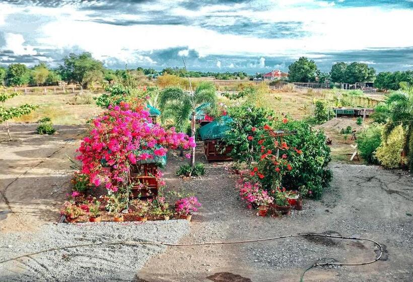 Airport View Hotel Vigan