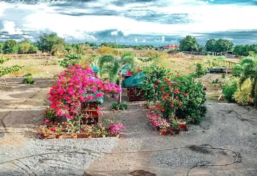 Airport View Hotel Vigan