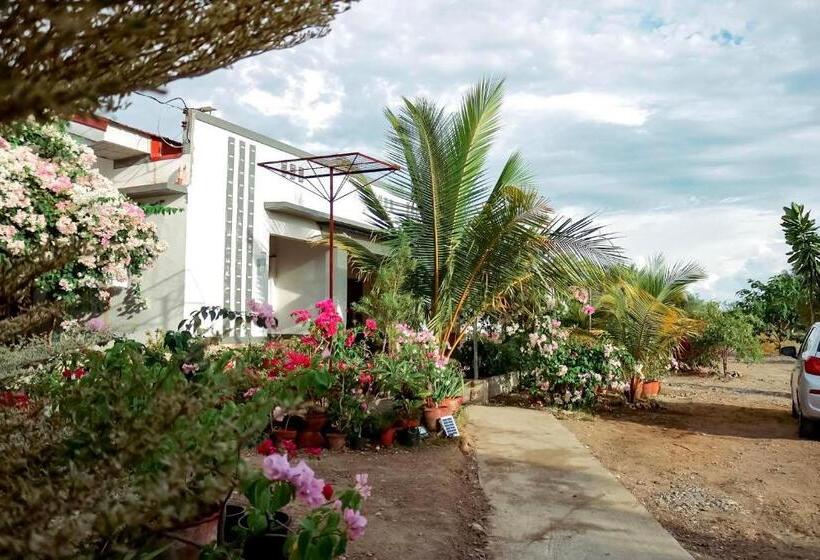 Airport View Hotel Vigan