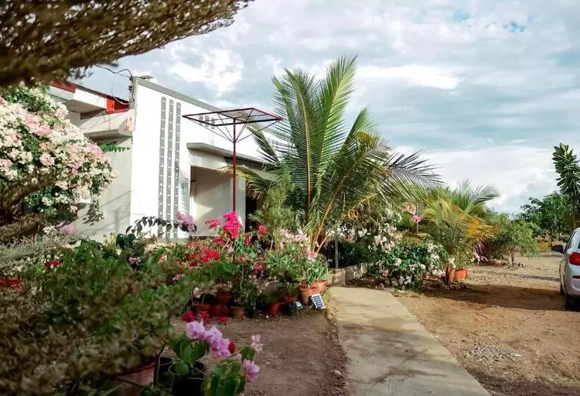 Airport View Hotel Vigan