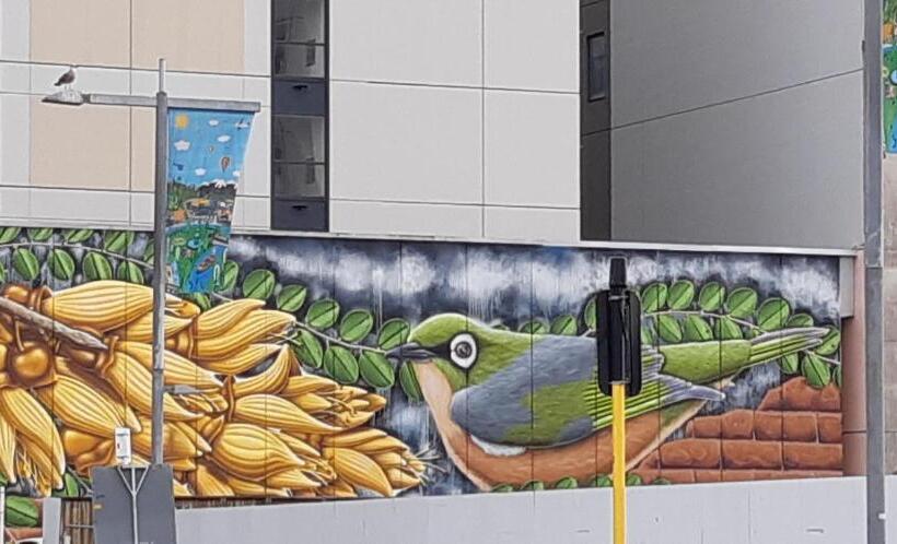 هاستل Chester St Backpackers