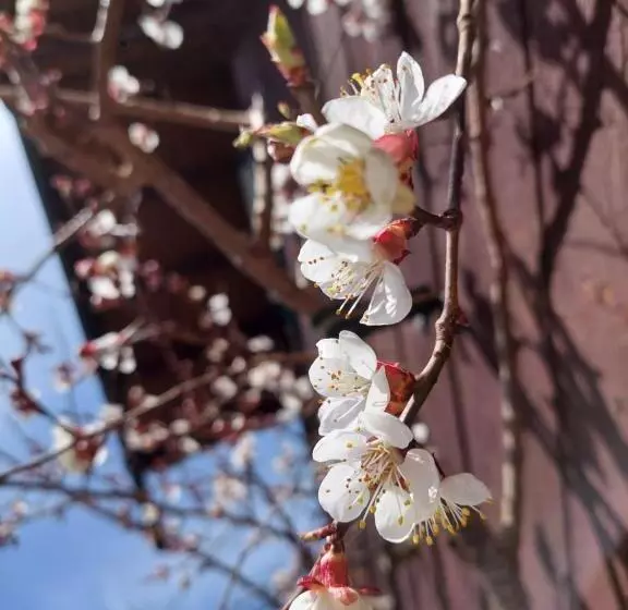 Appartement Wurzrainer