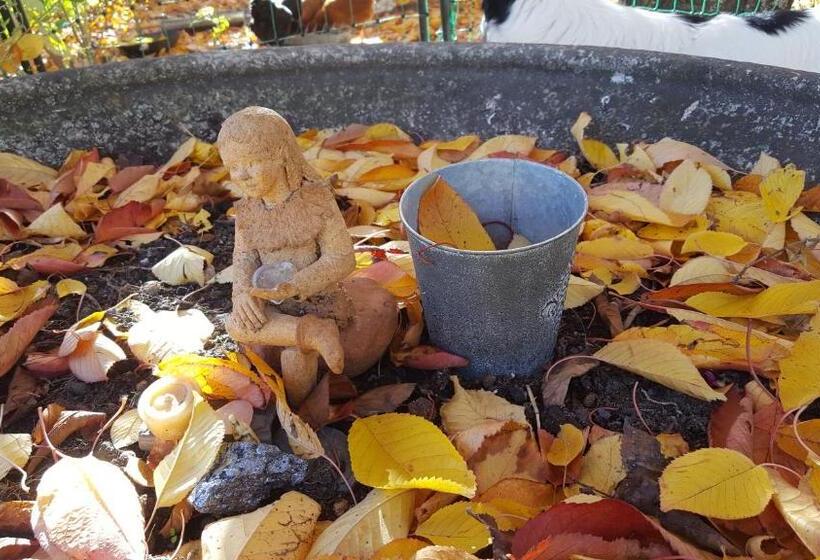 تختخواب و صبحانه Chambres D Hôtes Nilautpala Dreams