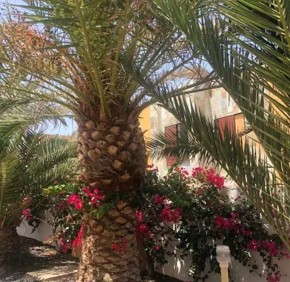 Apartamento Paradise Amaya