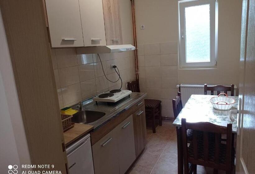 Apartman Aleks
