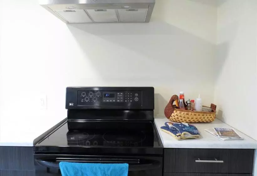 Entire Huge Basement! Fast Wifi! Private Entrance!