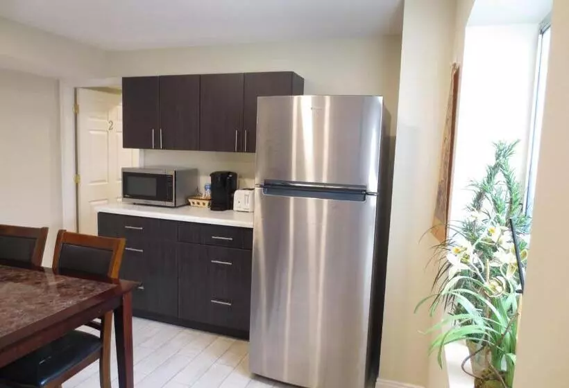 Entire Huge Basement! Fast Wifi! Private Entrance!