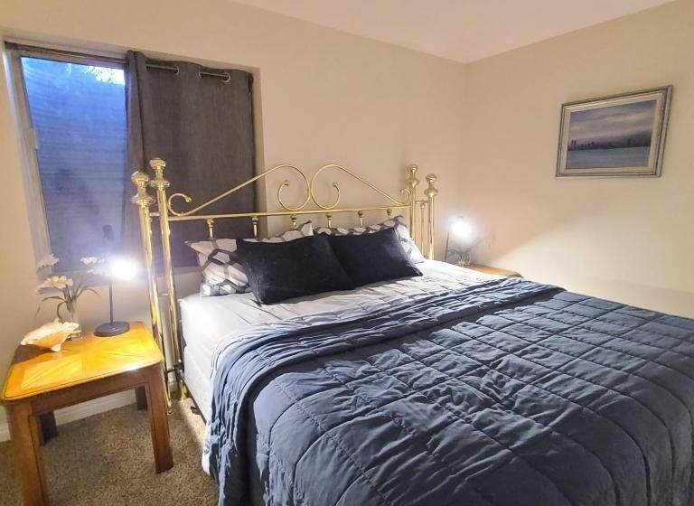 Entire Huge Basement! Fast Wifi! Private Entrance!