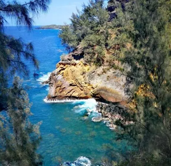 Le Liseron Créole   Entre Terre, Mer Et Rivière   Proche Toutes Commodités