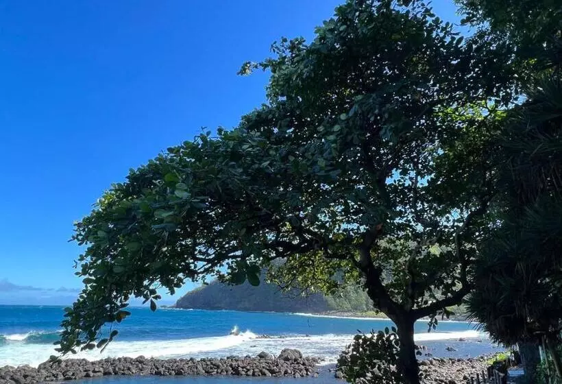 Le Liseron Créole   Entre Terre, Mer Et Rivière   Proche Toutes Commodités