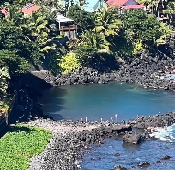 Le Liseron Créole   Entre Terre, Mer Et Rivière   Proche Toutes Commodités