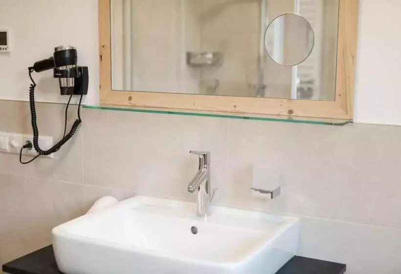 Natur Suite Edelweisshof App Ferdi