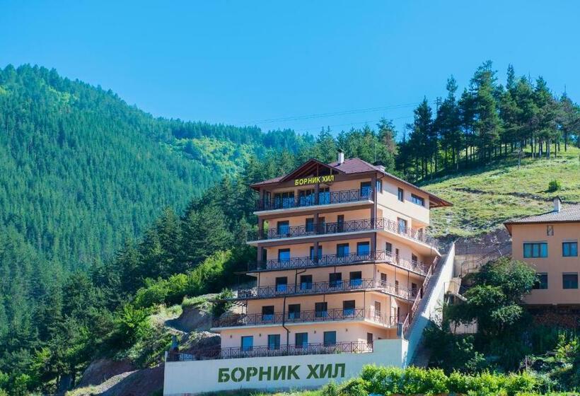 борник хил / Bornik Hill