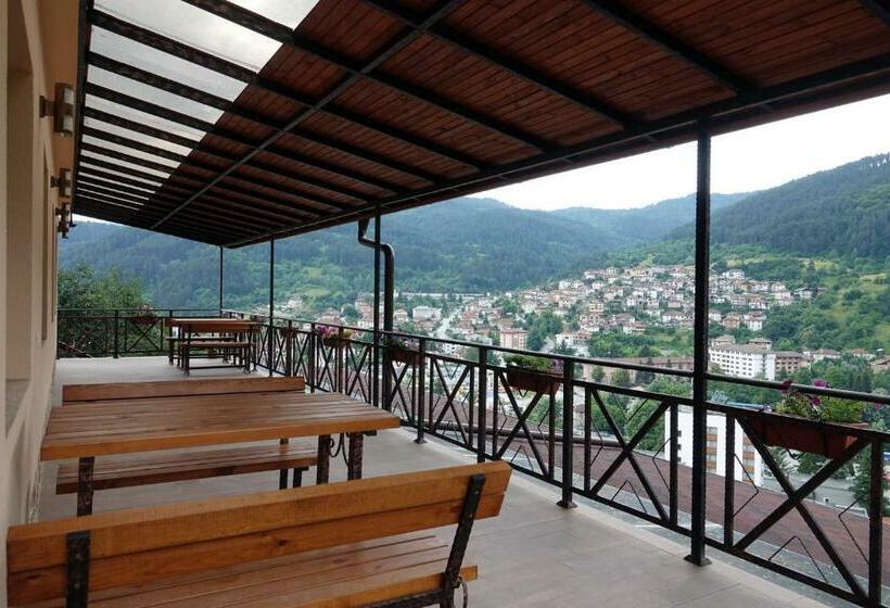 борник хил / Bornik Hill