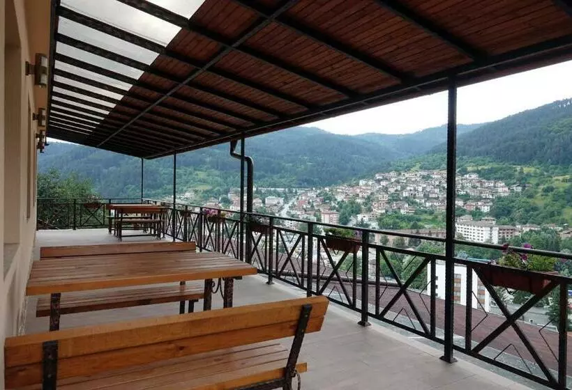 борник хил / Bornik Hill