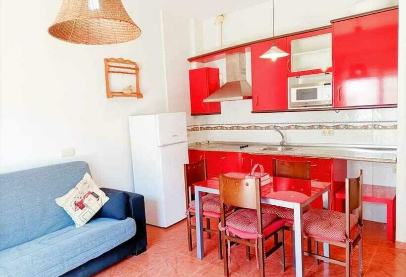 Camino Al Mar Terraza Y Vista Al Mar