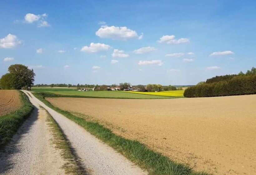 Homely Stay In A Modern Green Dream