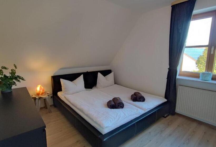 Homely Stay In A Modern Green Dream