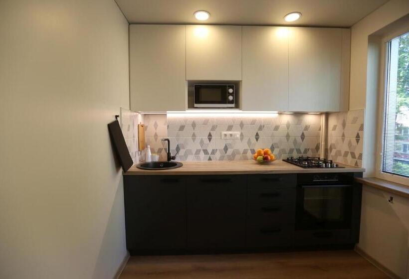 Modern 2 Room Apartment   Free Parking   Netflix