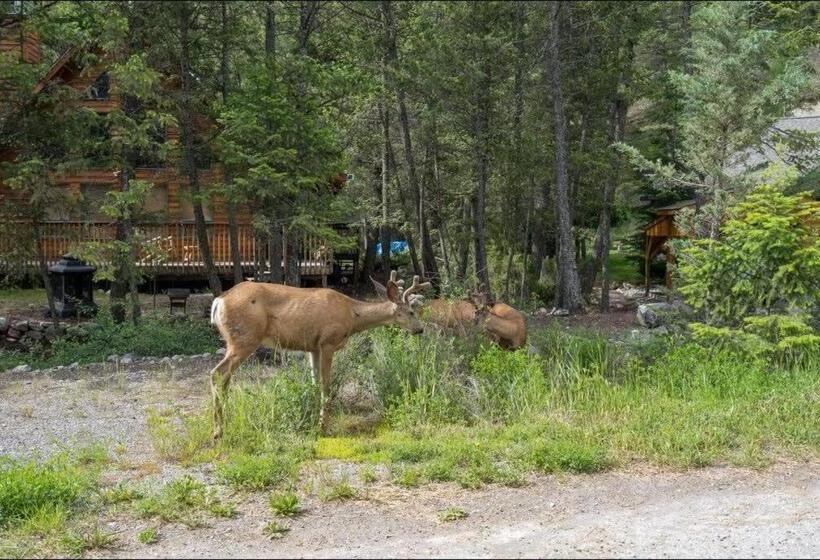 The Sleeping Moose I Fireplace I Pool Table I Tv