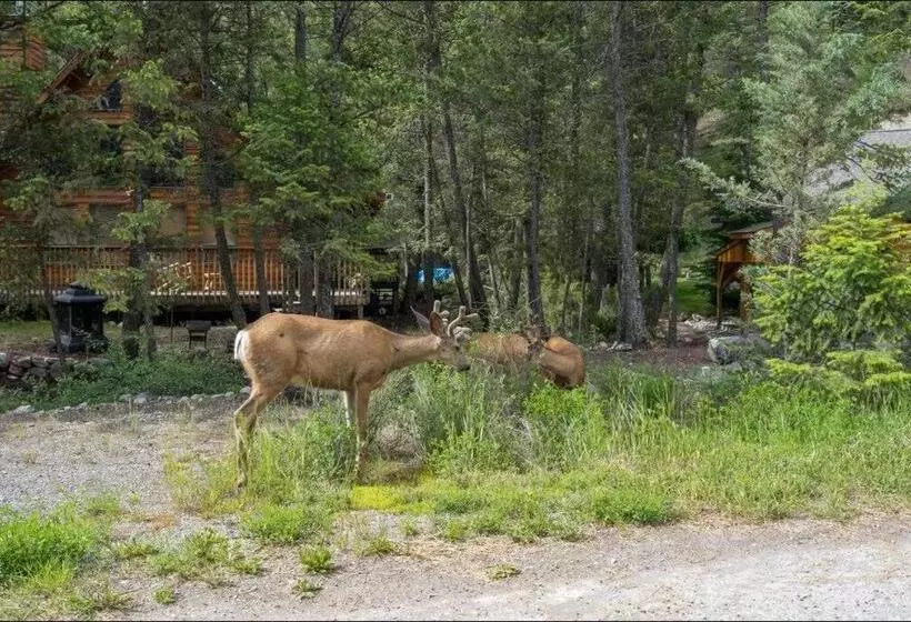 The Sleeping Moose I Fireplace I Pool Table I Tv